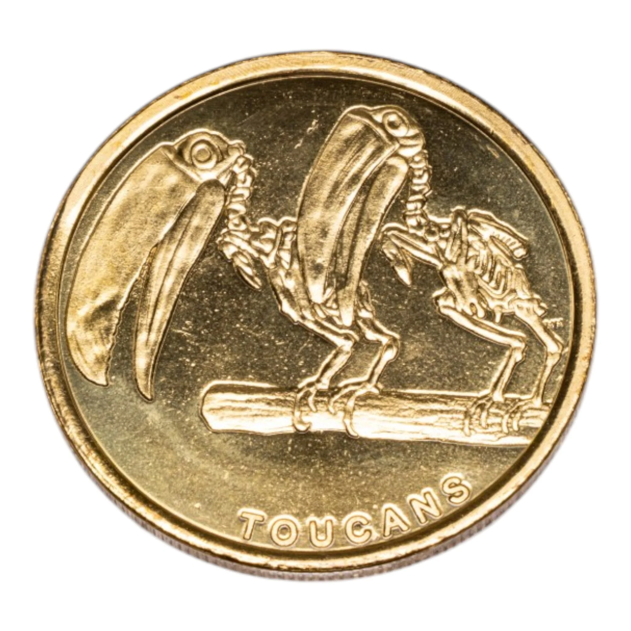 SKELETONS: Museum of Osteology Golden Medallion Coin - Image 12