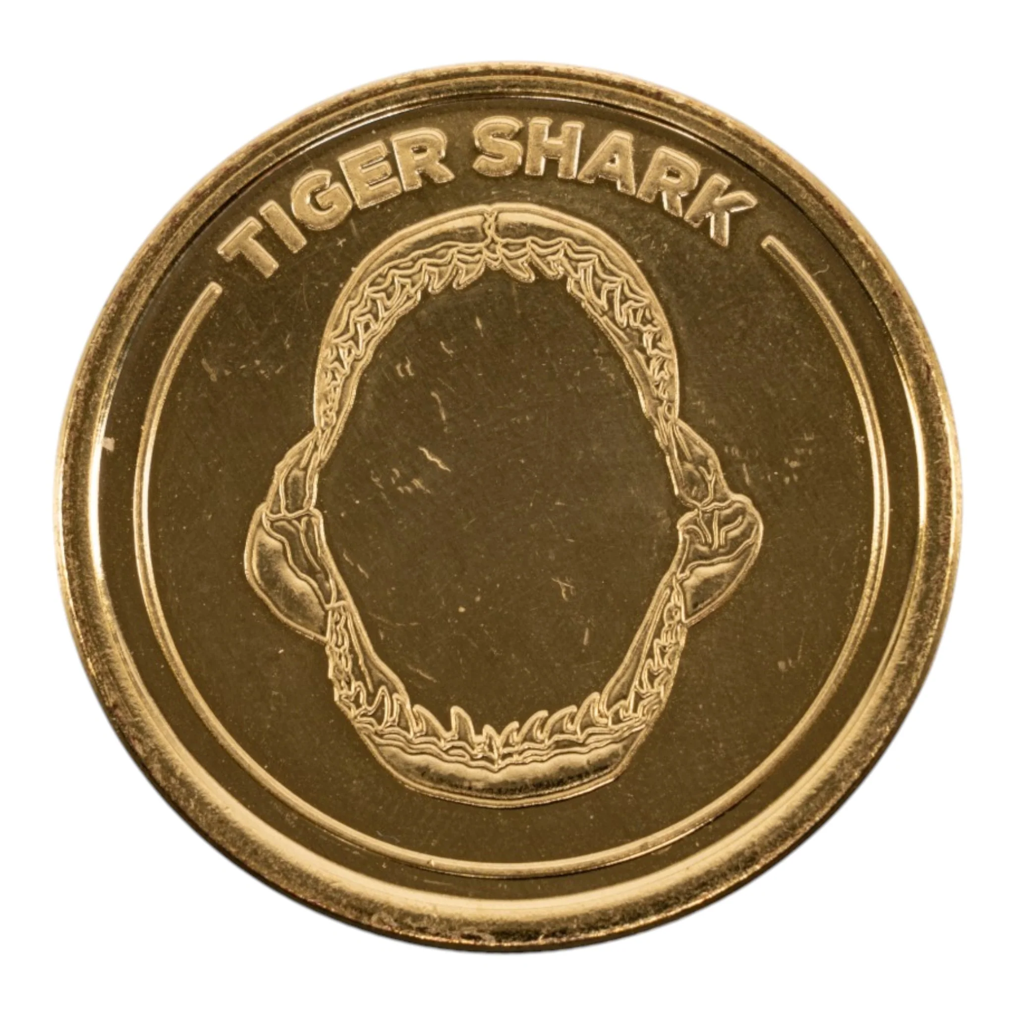 SKELETONS: Museum of Osteology Golden Medallion Coin - Image 16