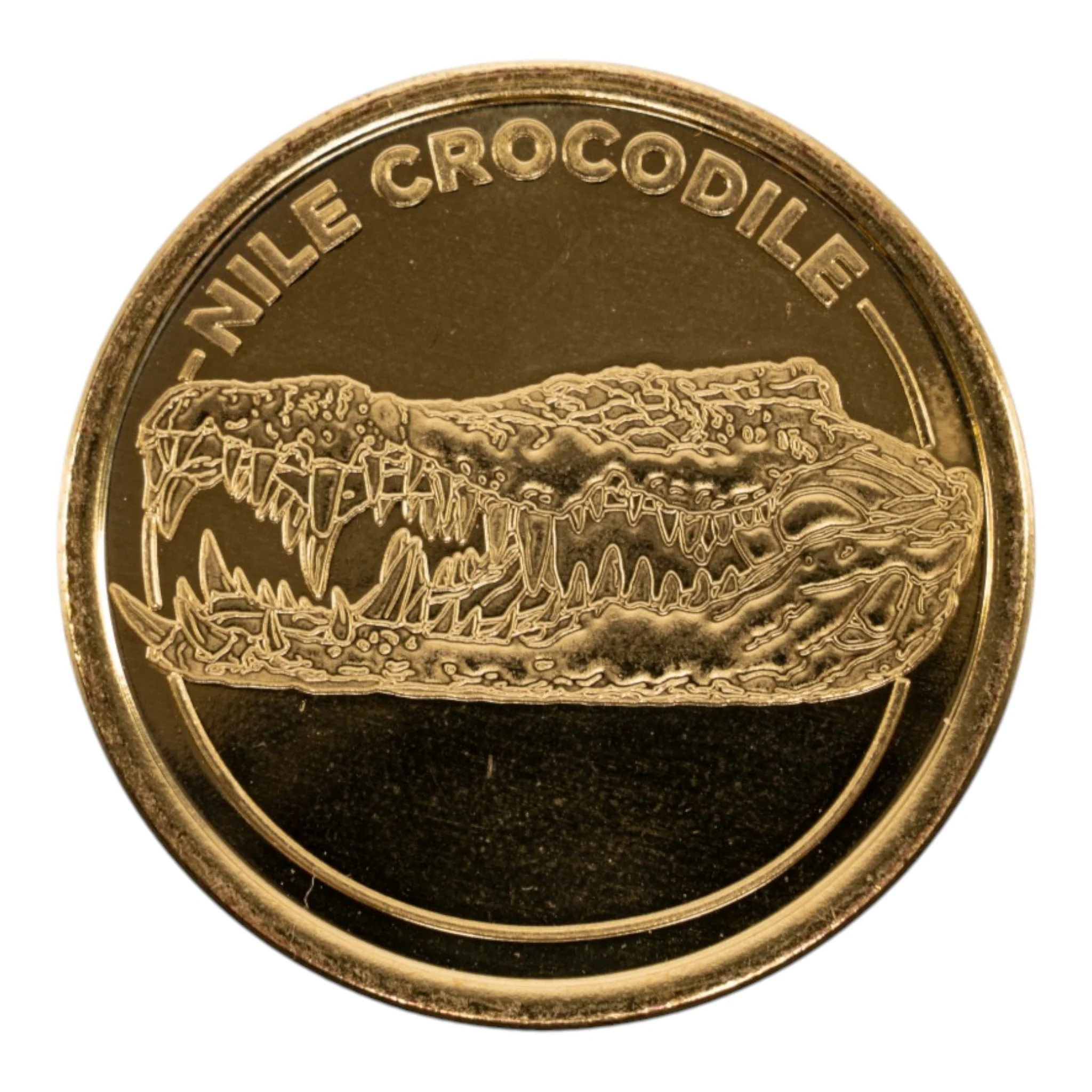 SKELETONS: Museum of Osteology Golden Medallion Coin - Image 17