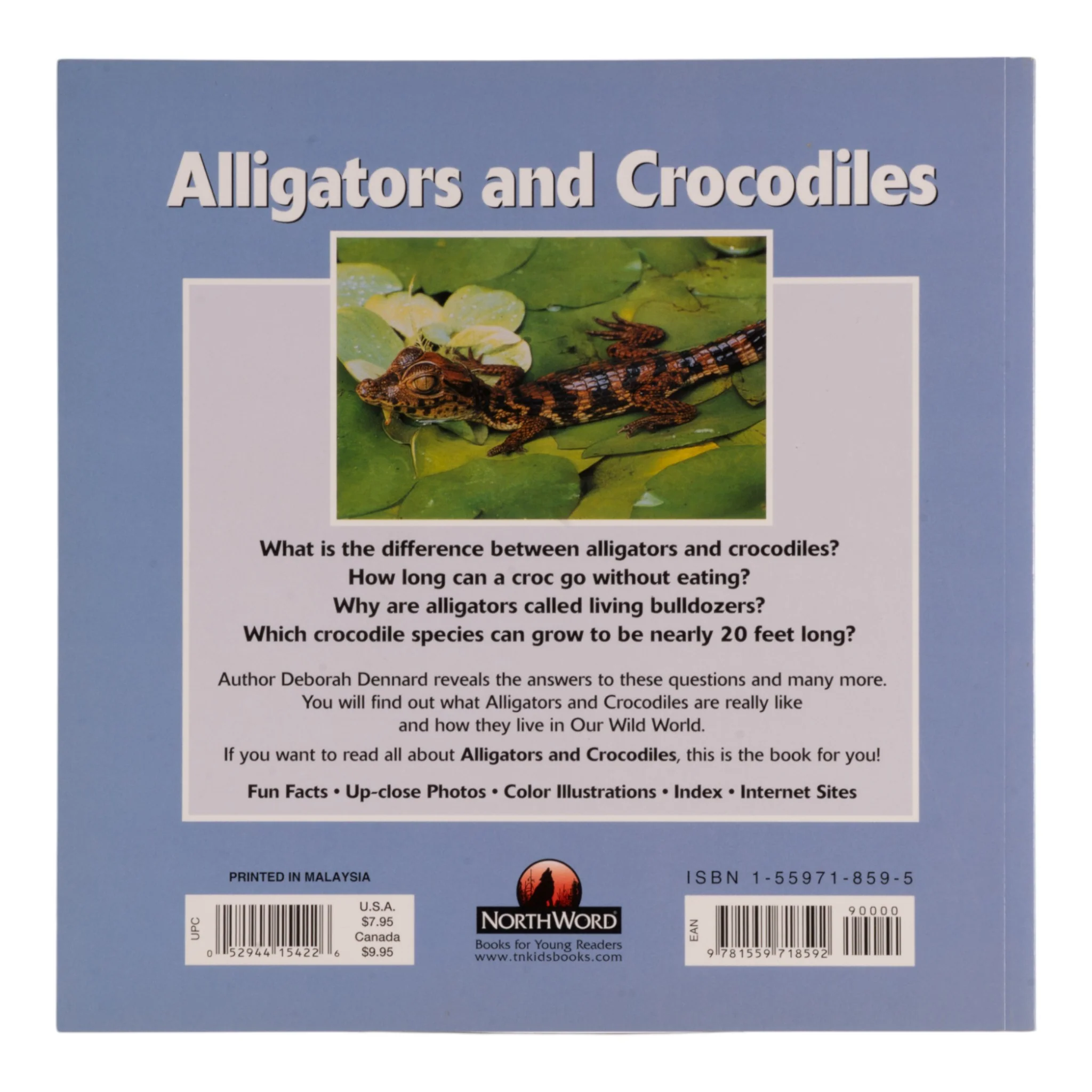 "Alligators and Crocodiles" by Deborah Dennard - Image 2