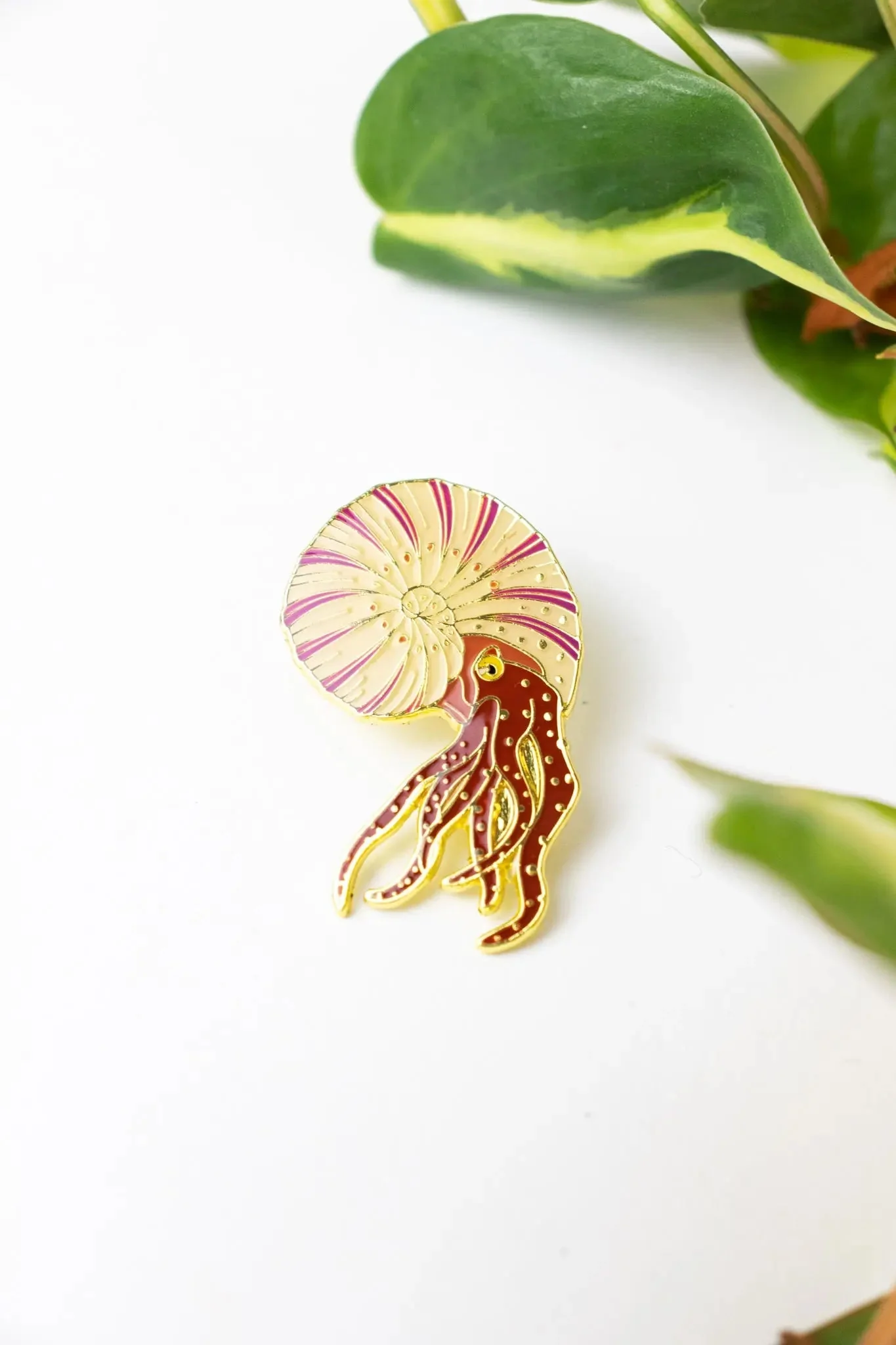 Ammonite Enamel Pin (Ammonoidea) - Image 4