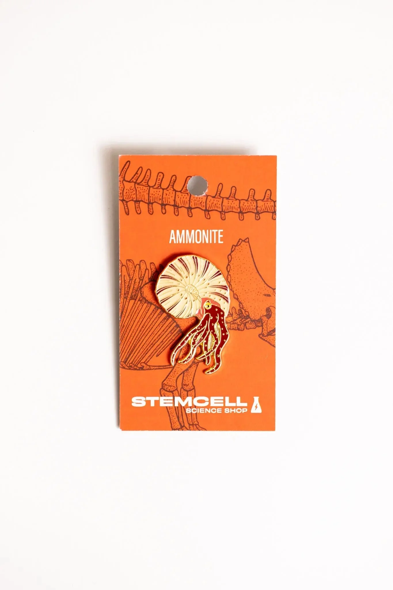Ammonite Enamel Pin (Ammonoidea) - Image 5
