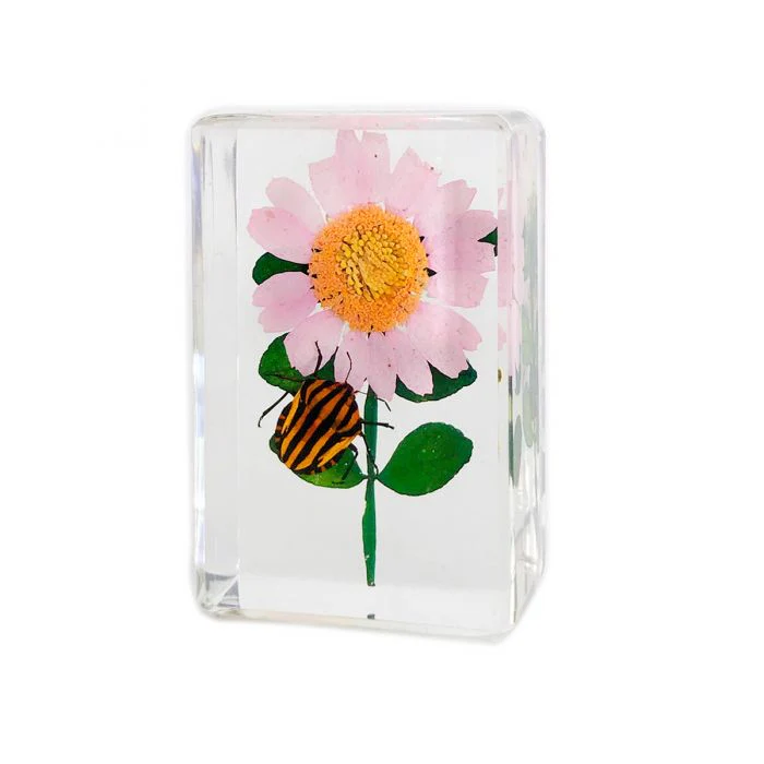 Real Insect and Flower in Acrylic - Image 6
