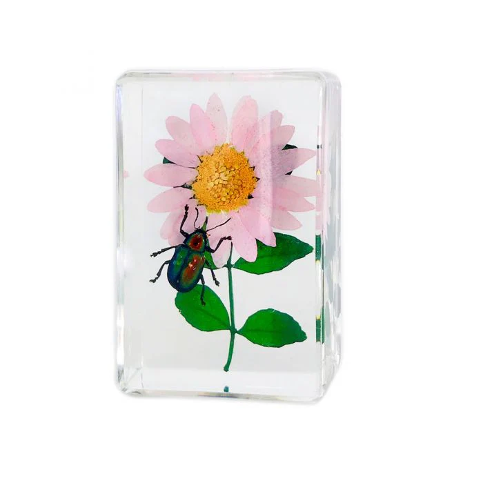 Real Insect and Flower in Acrylic - Image 7