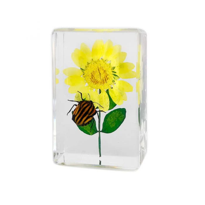 Real Insect and Flower in Acrylic - Image 8