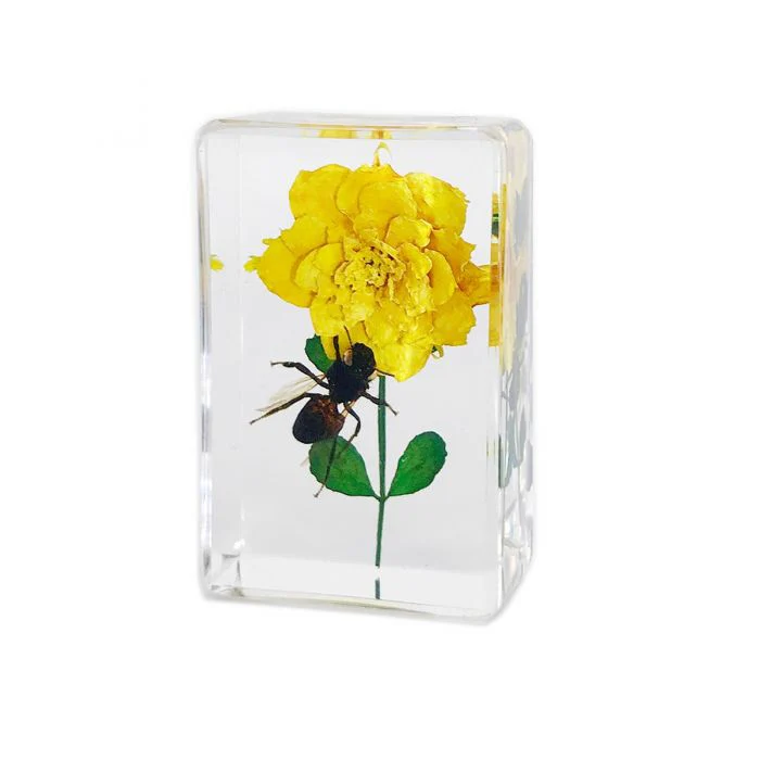 Real Insect and Flower in Acrylic - Image 9