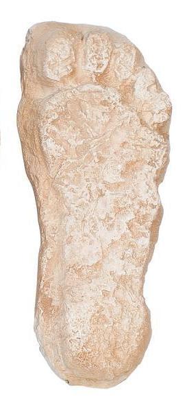 Replica Bigfoot Negative Footprints - Image 3
