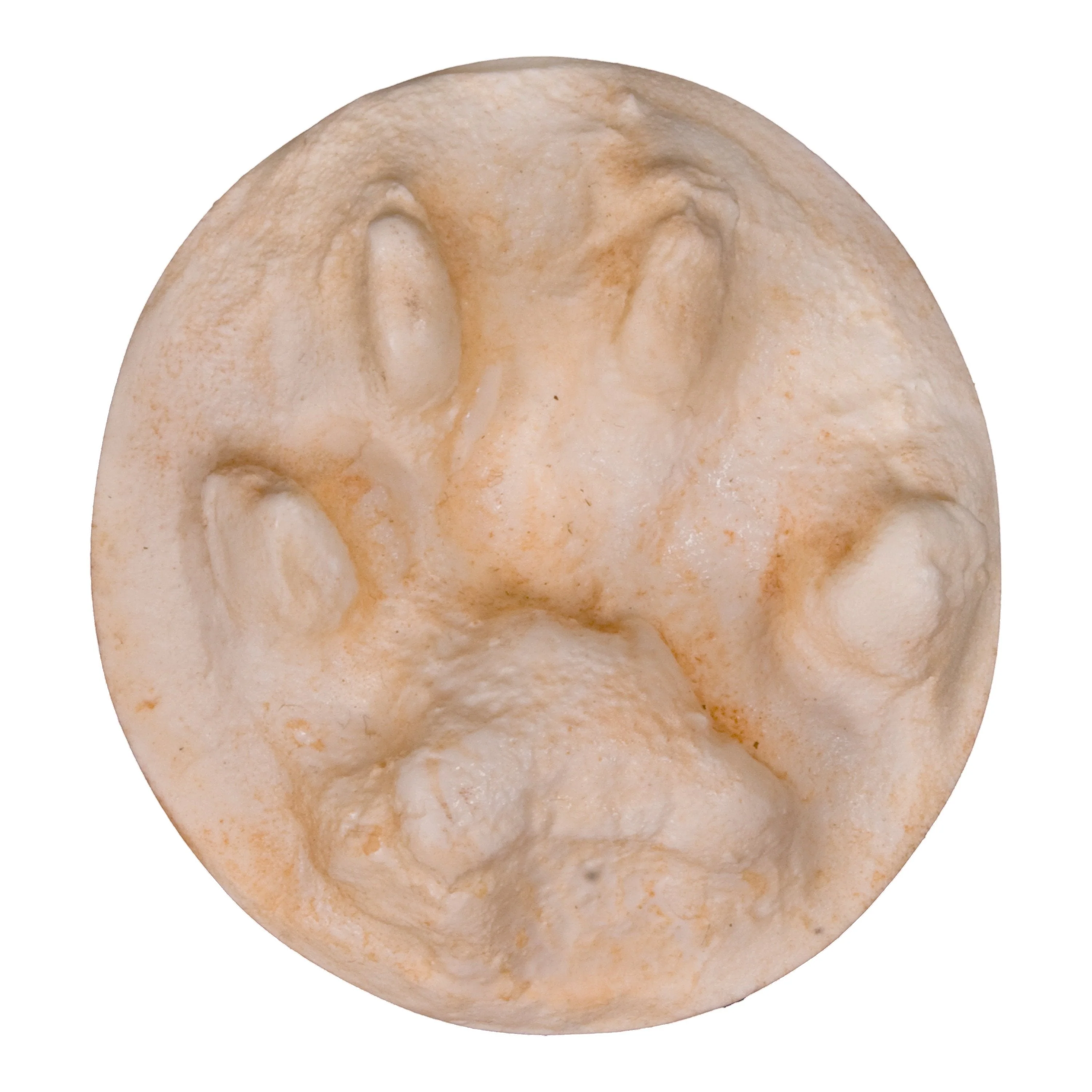 Replica Bobcat Negative Footprint