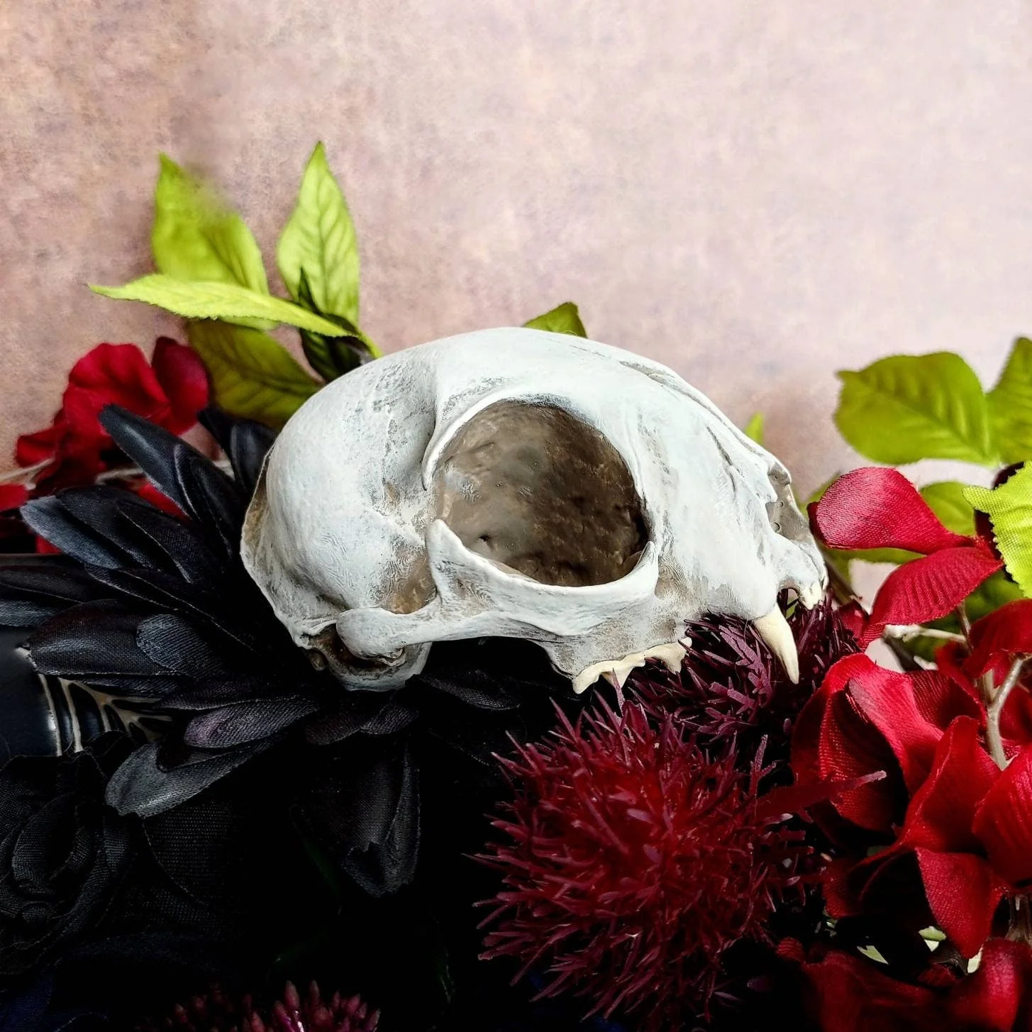 Cat Skull Replica - 1:1 Scale - Image 2