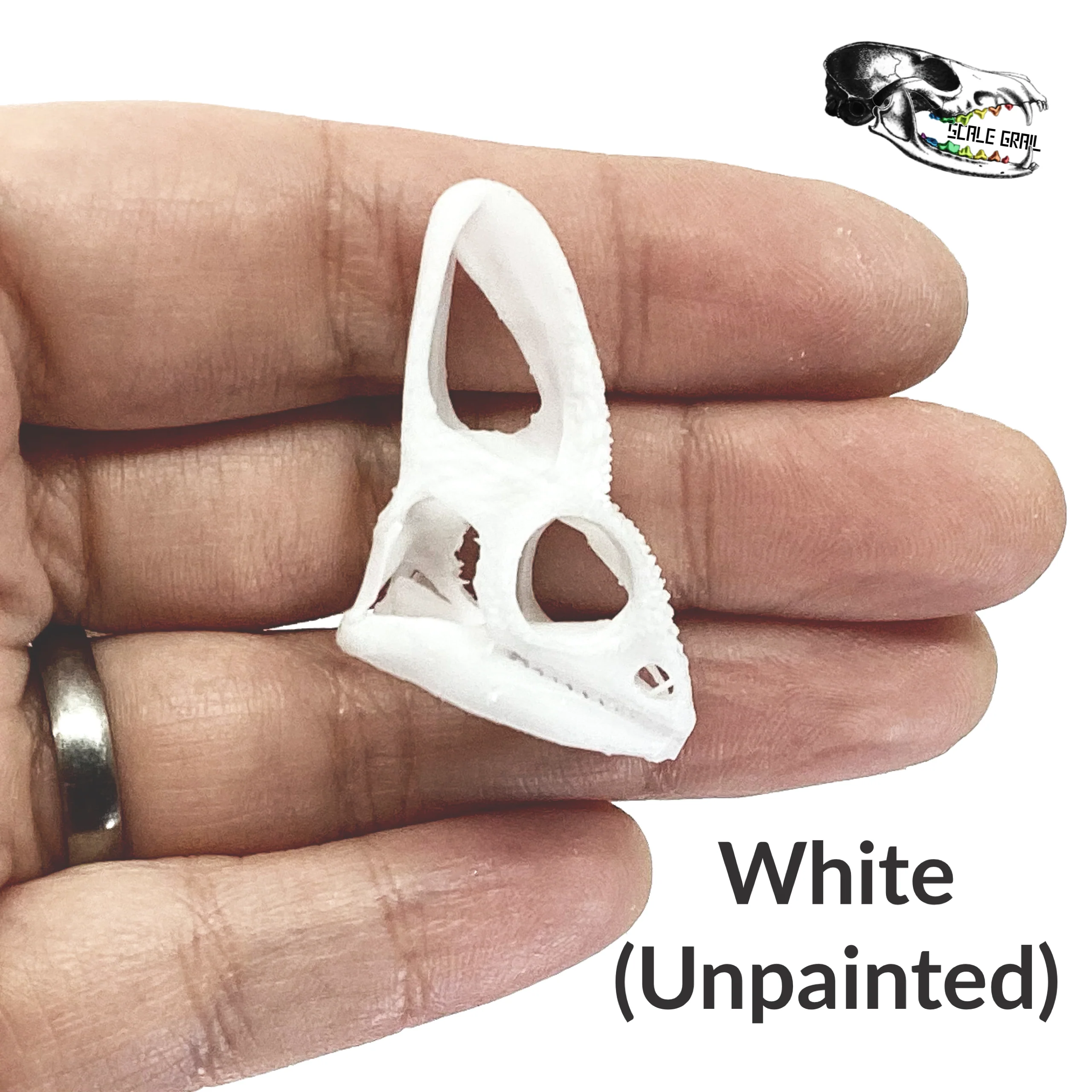 Chameleon Skull Replica - 1:1 Scale - Image 4
