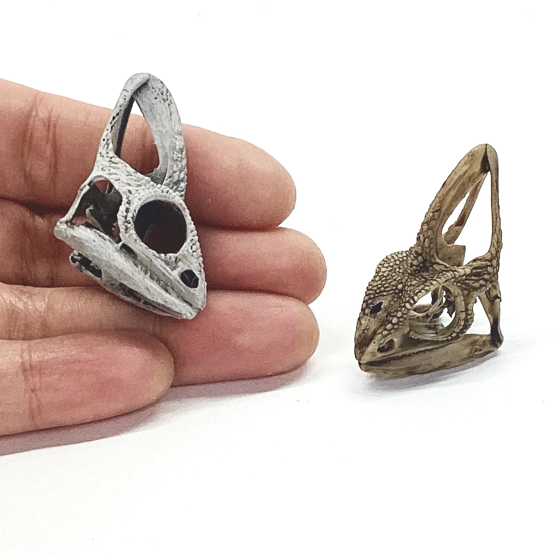 Chameleon Skull Replica - 1:1 Scale - Image 5