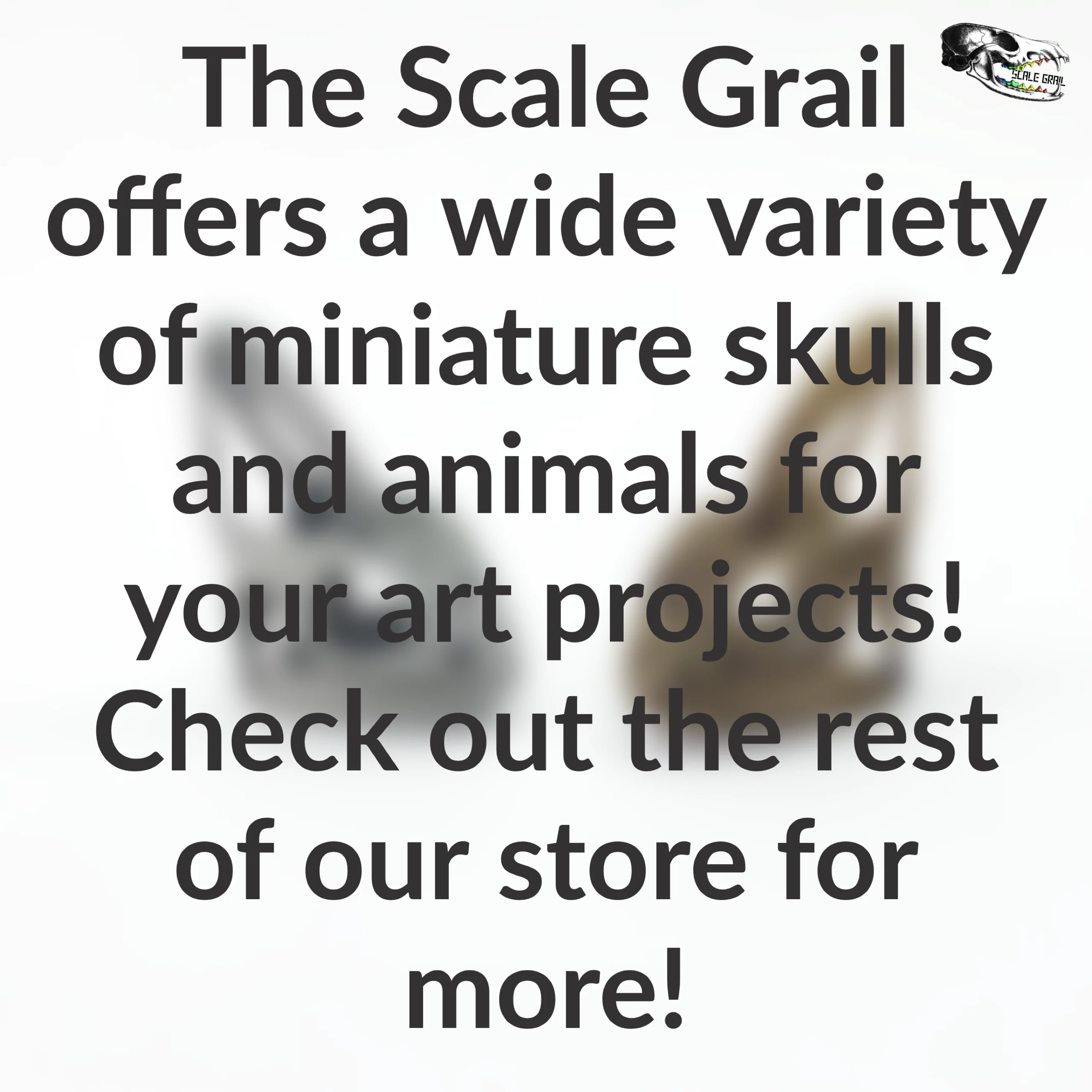 Chameleon Skull Replica - 1:1 Scale - Image 6