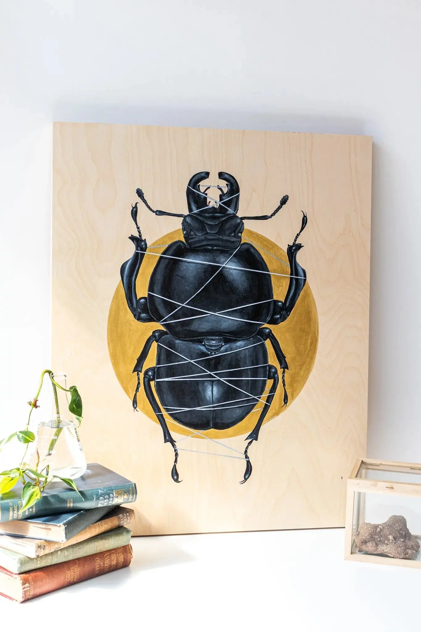 Colophon Whitei Scientific Art Print - Image 2