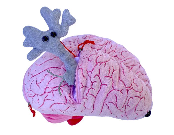 Giant Microbes Deluxe Brain with Mini Cells - Image 4