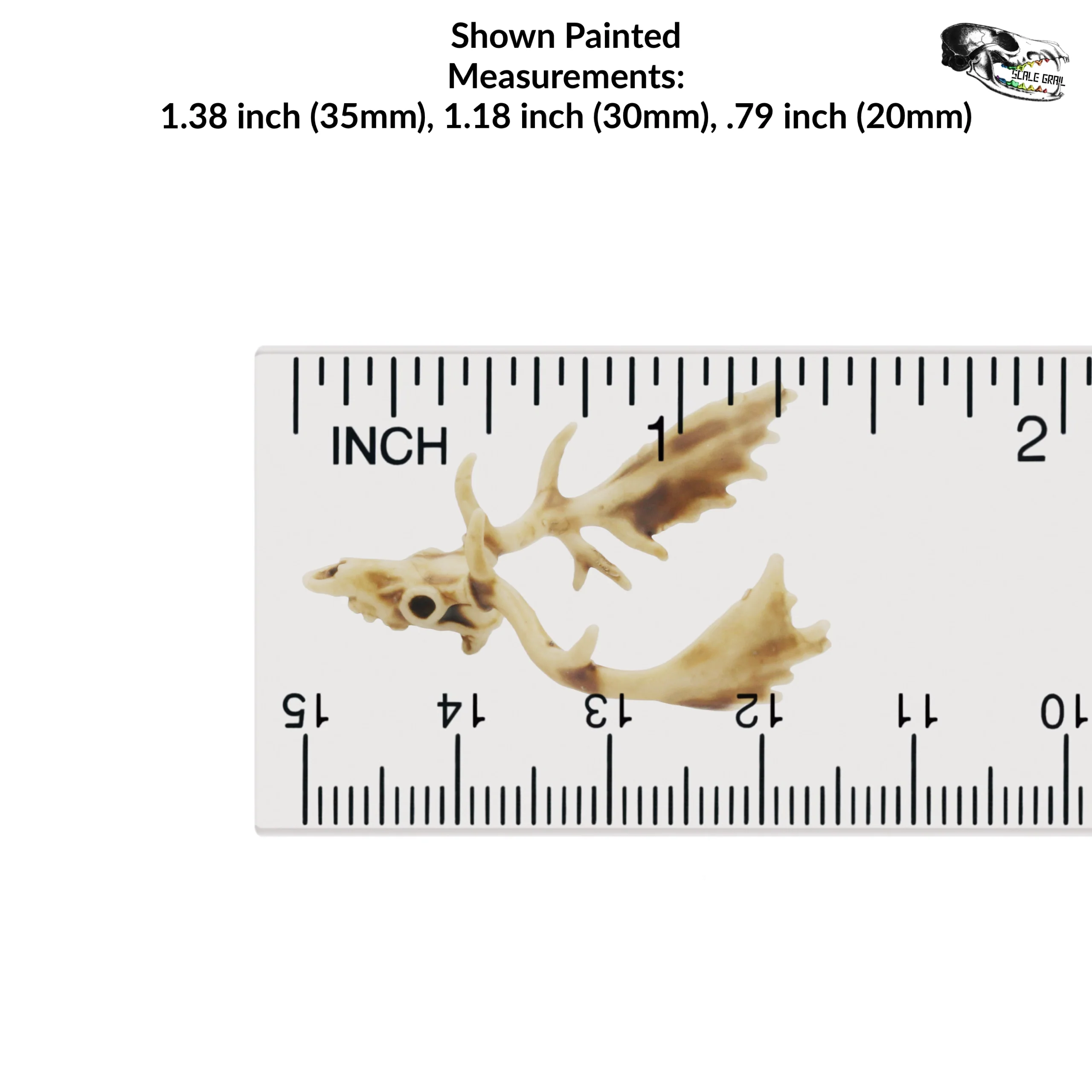 Fallow Deer Skull Replica - 1:24 Scale - Image 2