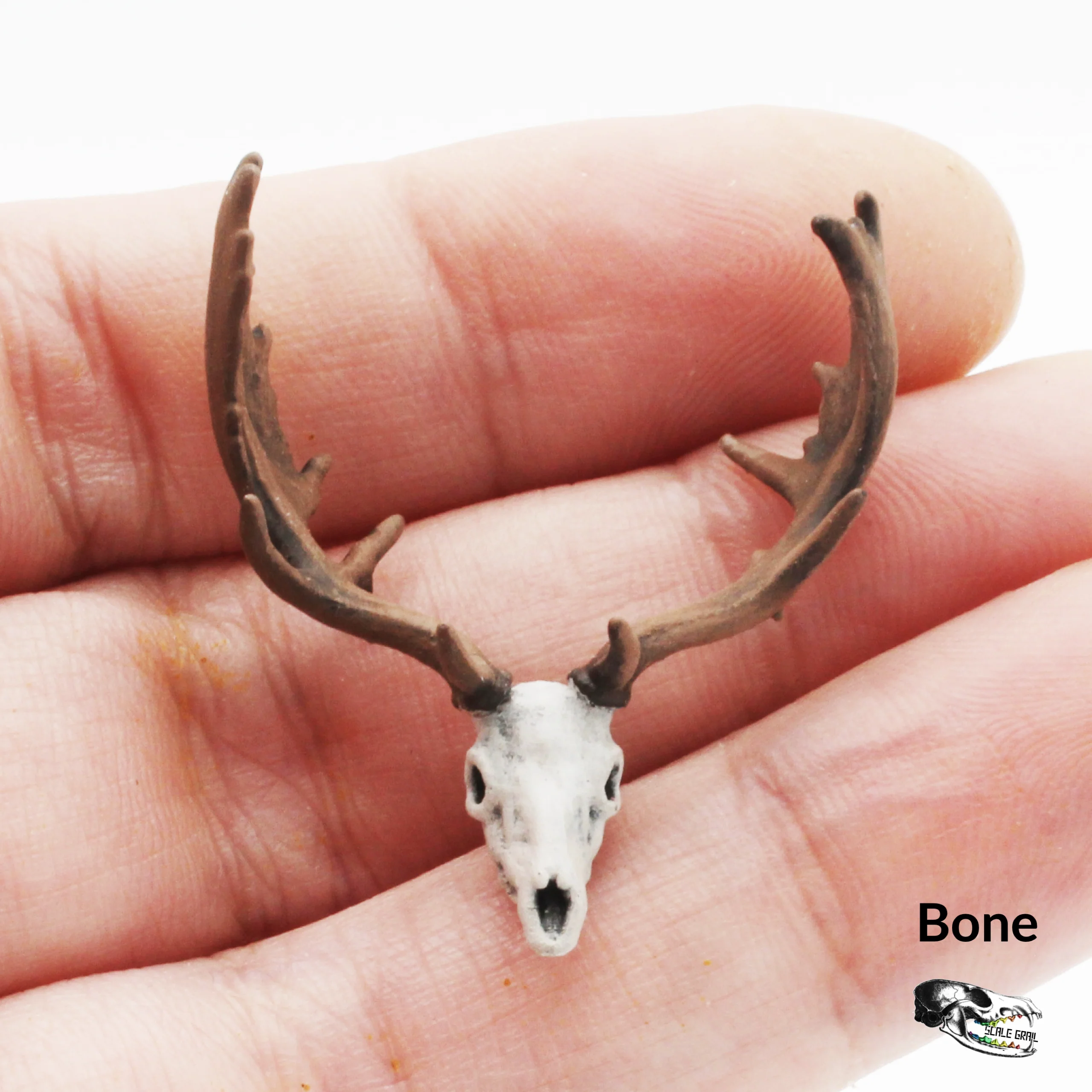 Fallow Deer Skull Replica - 1:24 Scale - Image 3
