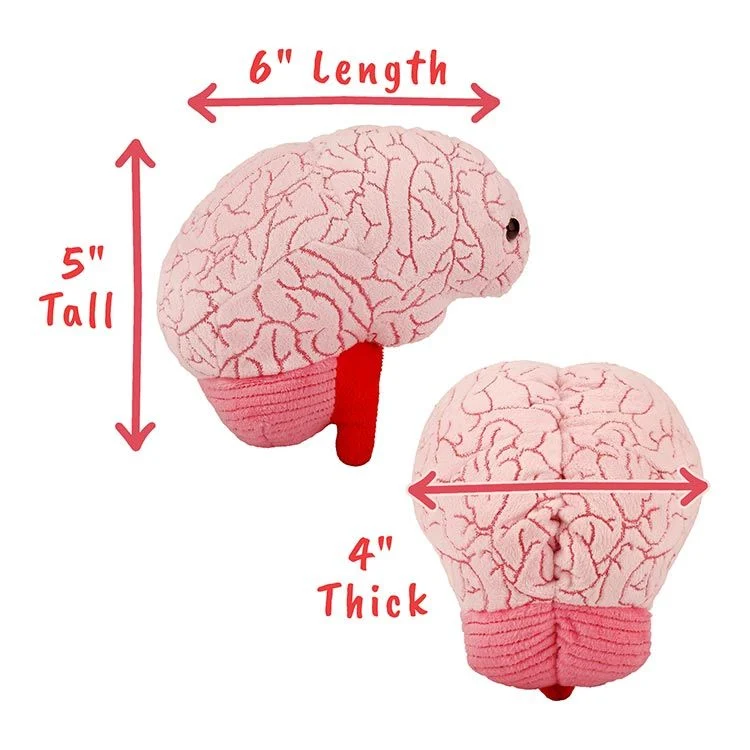 GIANTmicrobes Brain Plush - Image 7