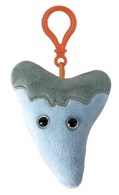 GIANTmicrobes Megalodon Tooth Keychain - Image 2