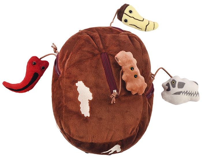GIANTmicrobes T. Rex Fossil Dig Plush - Image 4