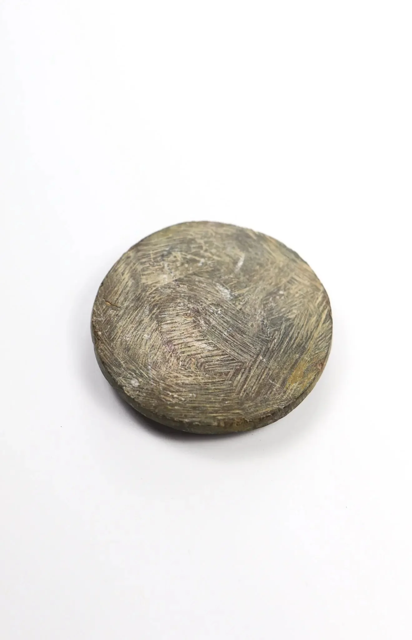 Goniatite Fossil - Image 9