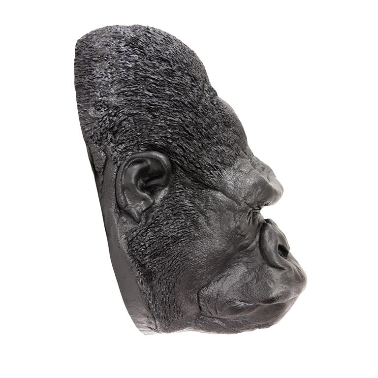 Replica Gorilla Face Life Cast - Male - Image 2