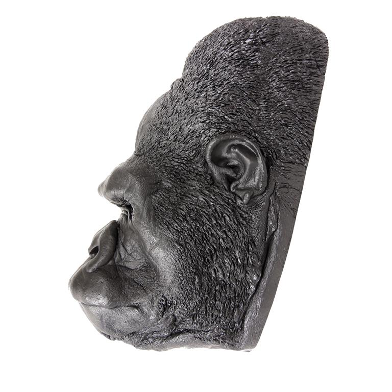 Replica Gorilla Face Life Cast - Male - Image 3
