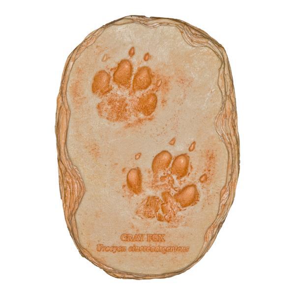 Replica Gray Fox Footprints - Image 2