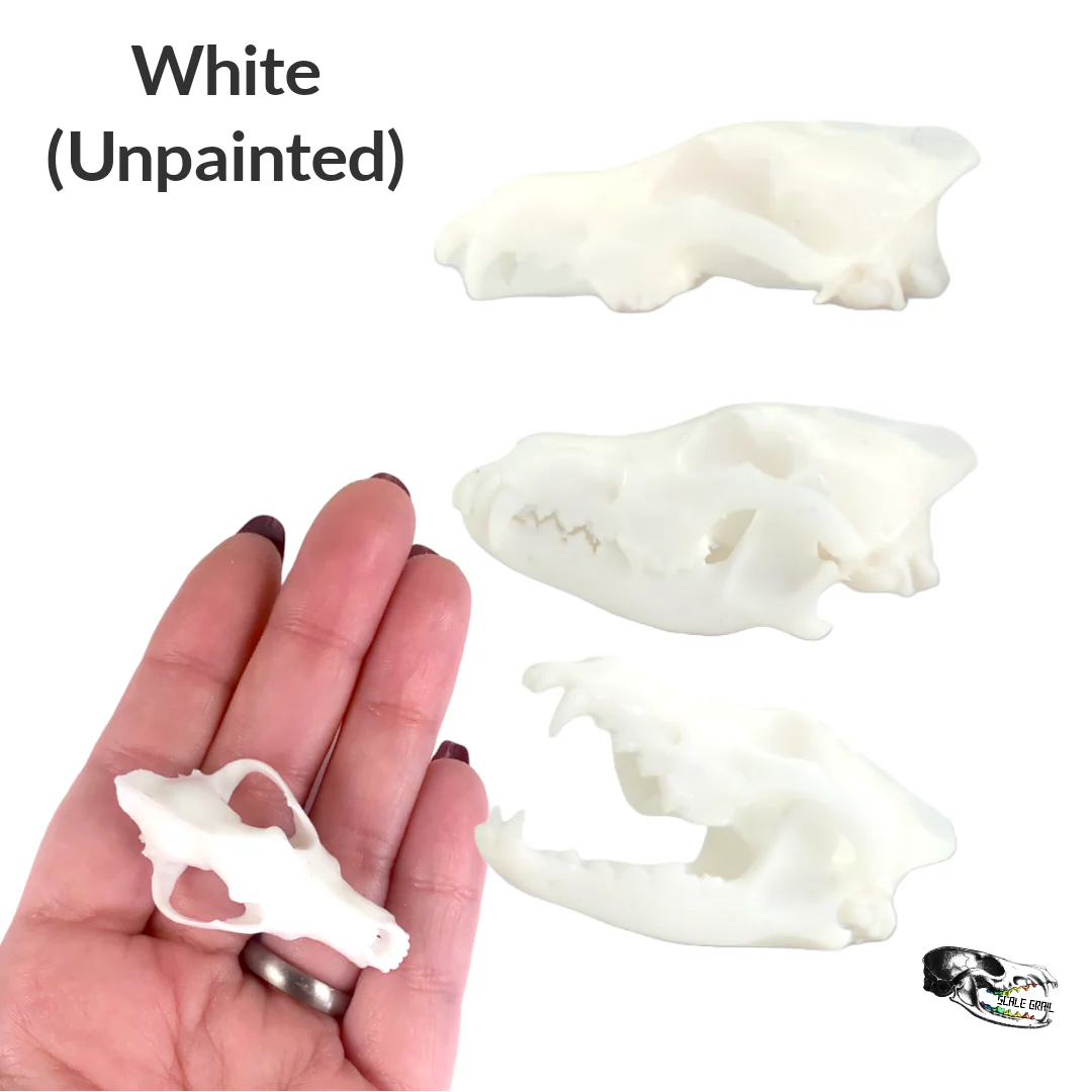 Gray Wolf Skull Replica - 1:6 Scale - Image 5