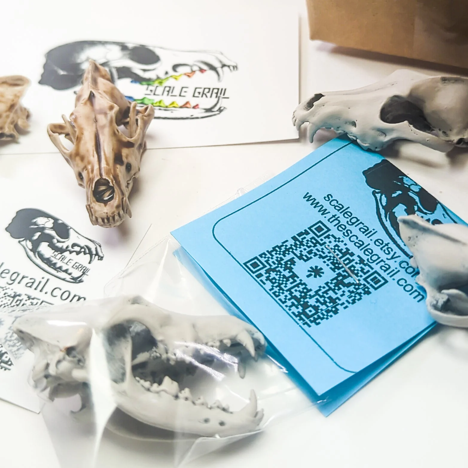 Gray Wolf Skull Replica - 1:6 Scale - Image 6