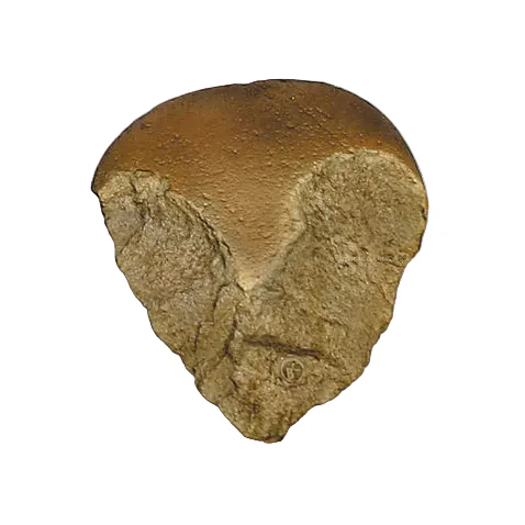 Hominid Tool Replica - Image 3
