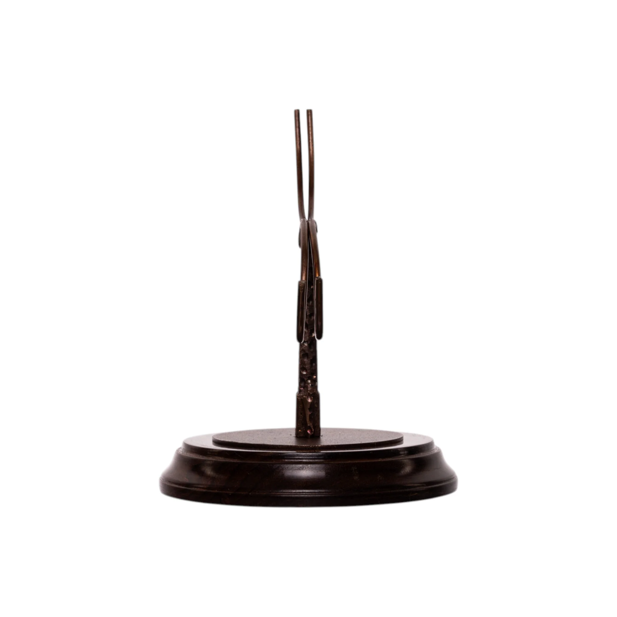 Human Skull Display Stand - Image 3