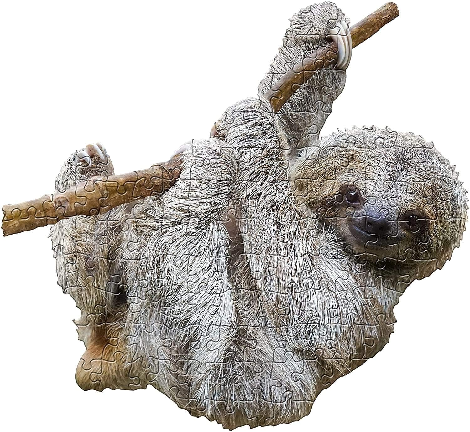 I Am Lil' Sloth 100 Piece Puzzle - Image 3