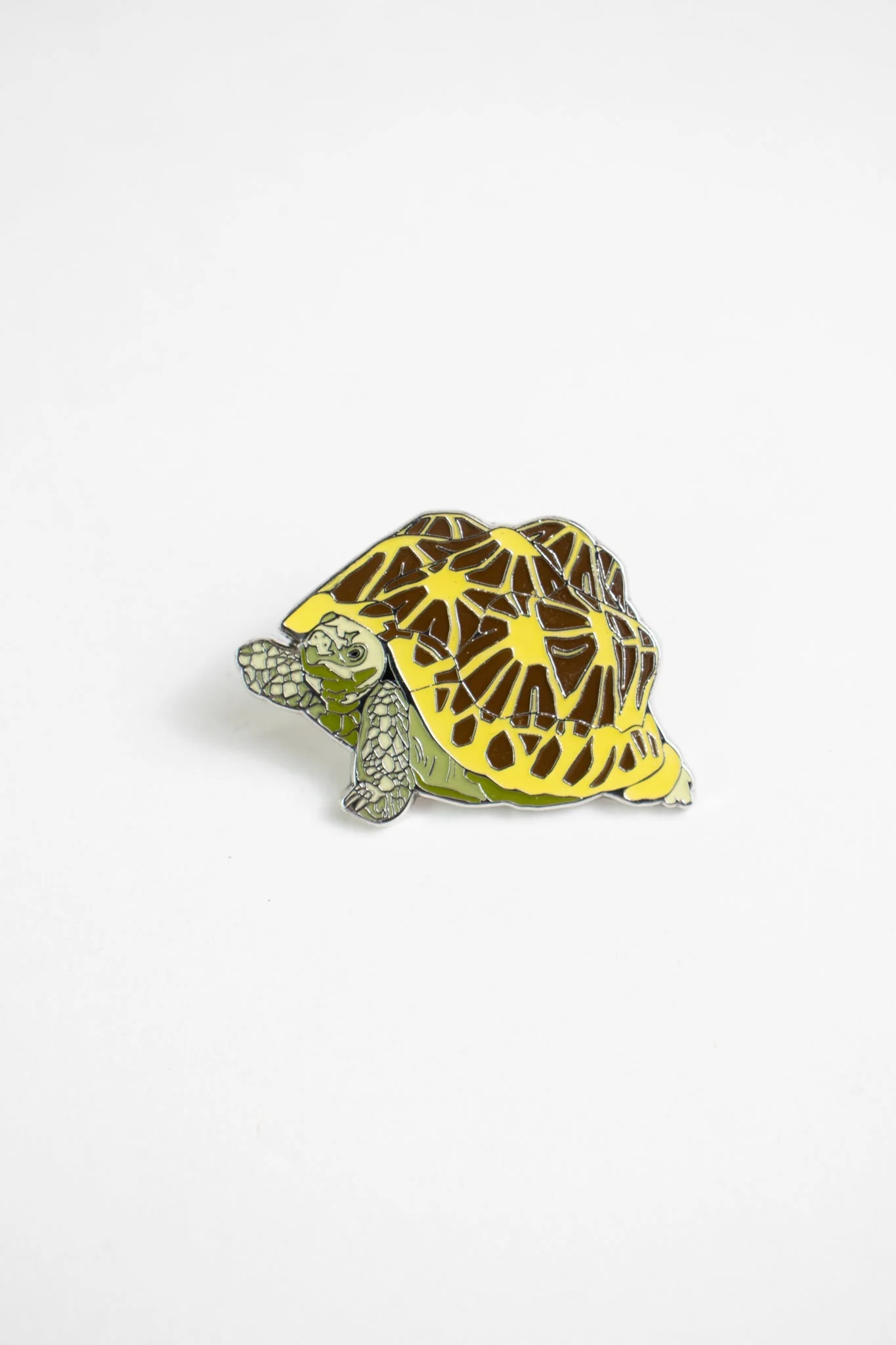 Indian Star Tortoise Enamel Pin (Geochelone elegans)