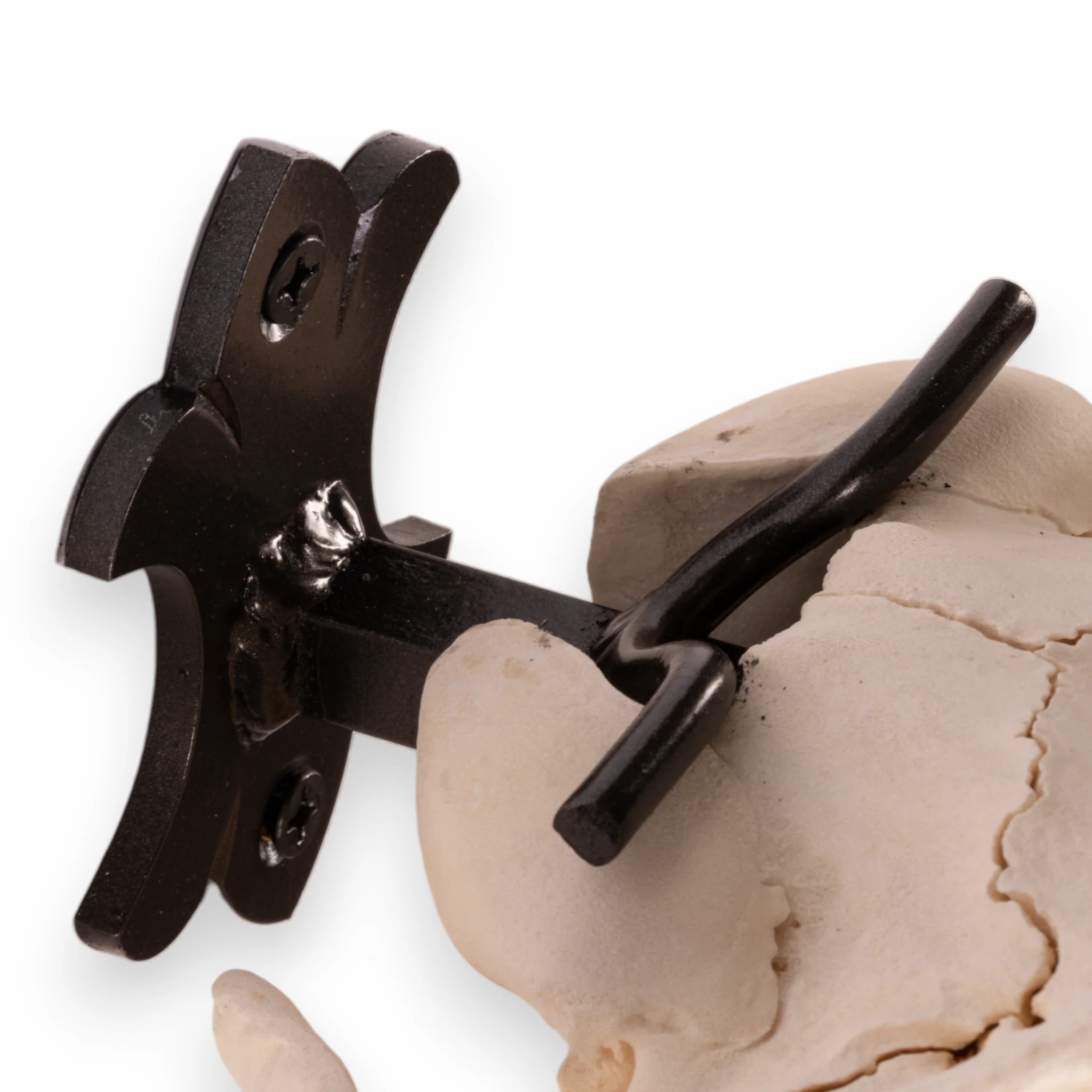 Metal Skull Mount - The 'Buffalo' Bracket - Image 5