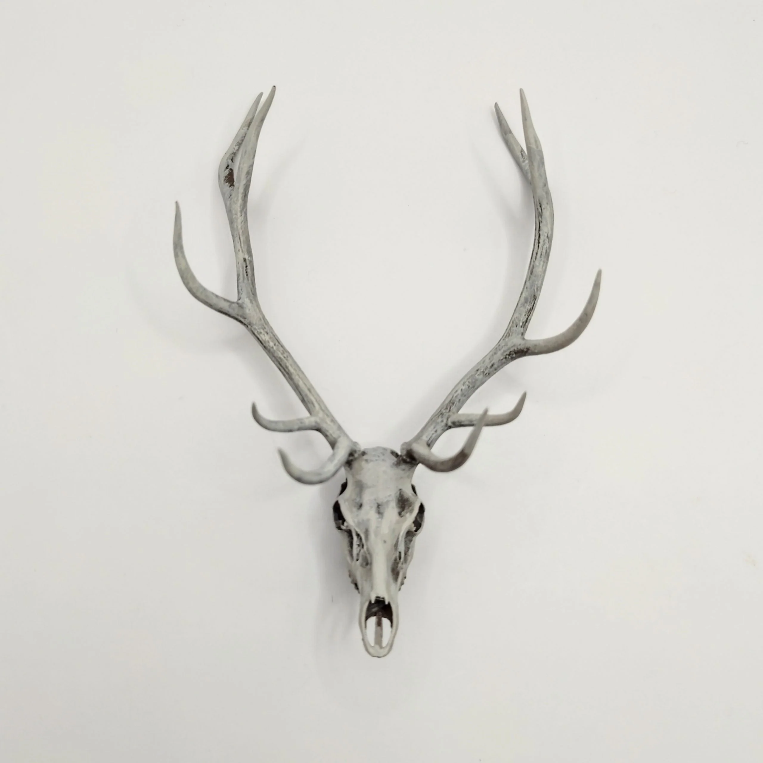 Miniature Red Deer Skull Replica - Image 2