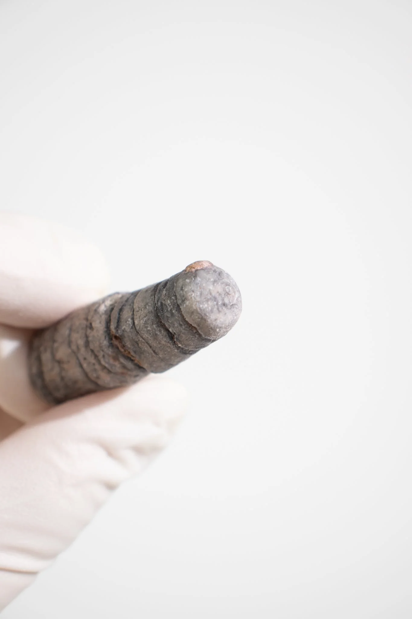 Orthocone Fossil - Image 3
