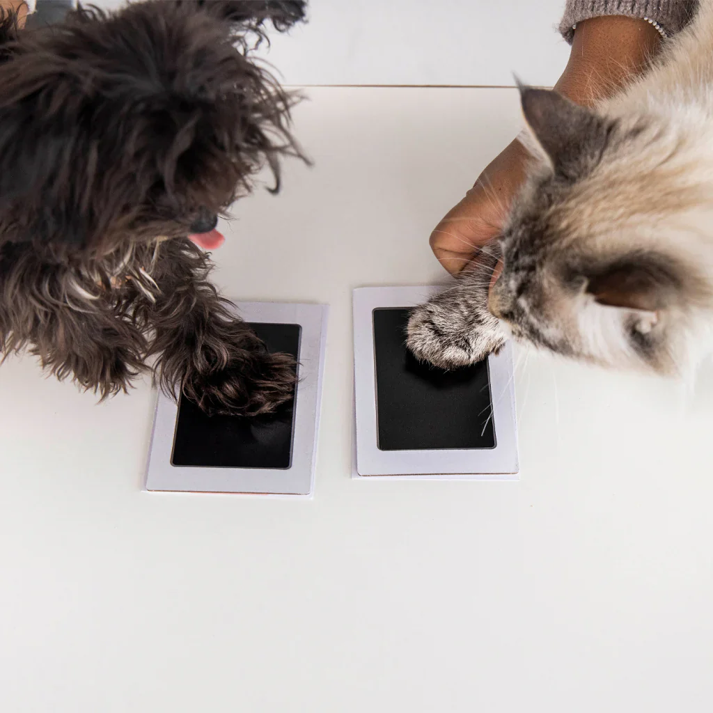 Pet Paw Print Clean-Touch Ink Pad - Black - Image 5