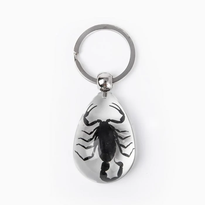 Real Black Scorpion in Acrylic Keychain - Image 2