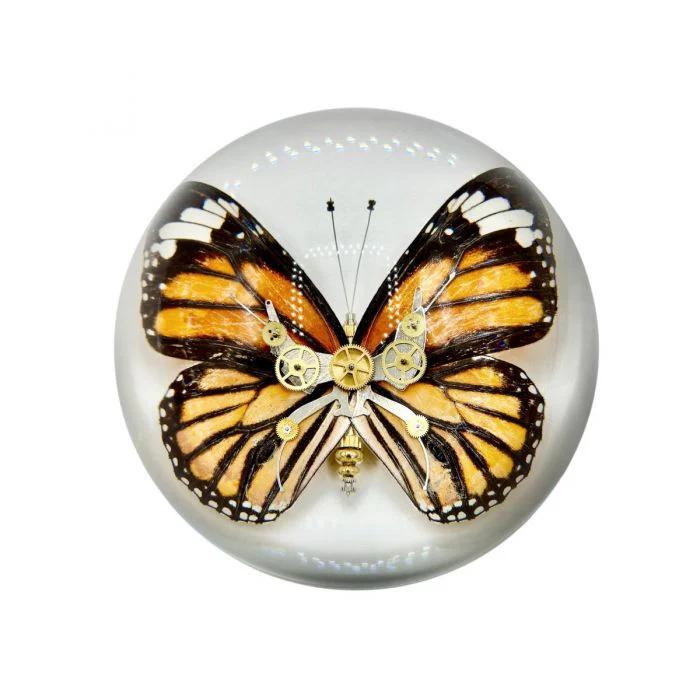 Real Common Tiger Butterfly in Acrylic Dome Paperweight - Image 3