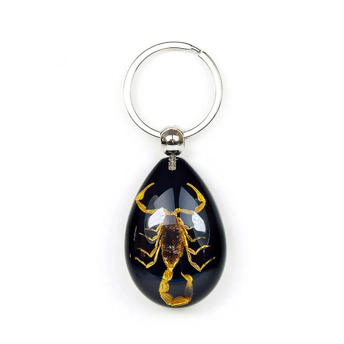 Real Golden Scorpion in Acrylic Keychain - Image 2
