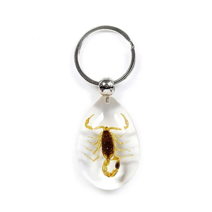 Real Golden Scorpion in Acrylic Keychain - Image 3