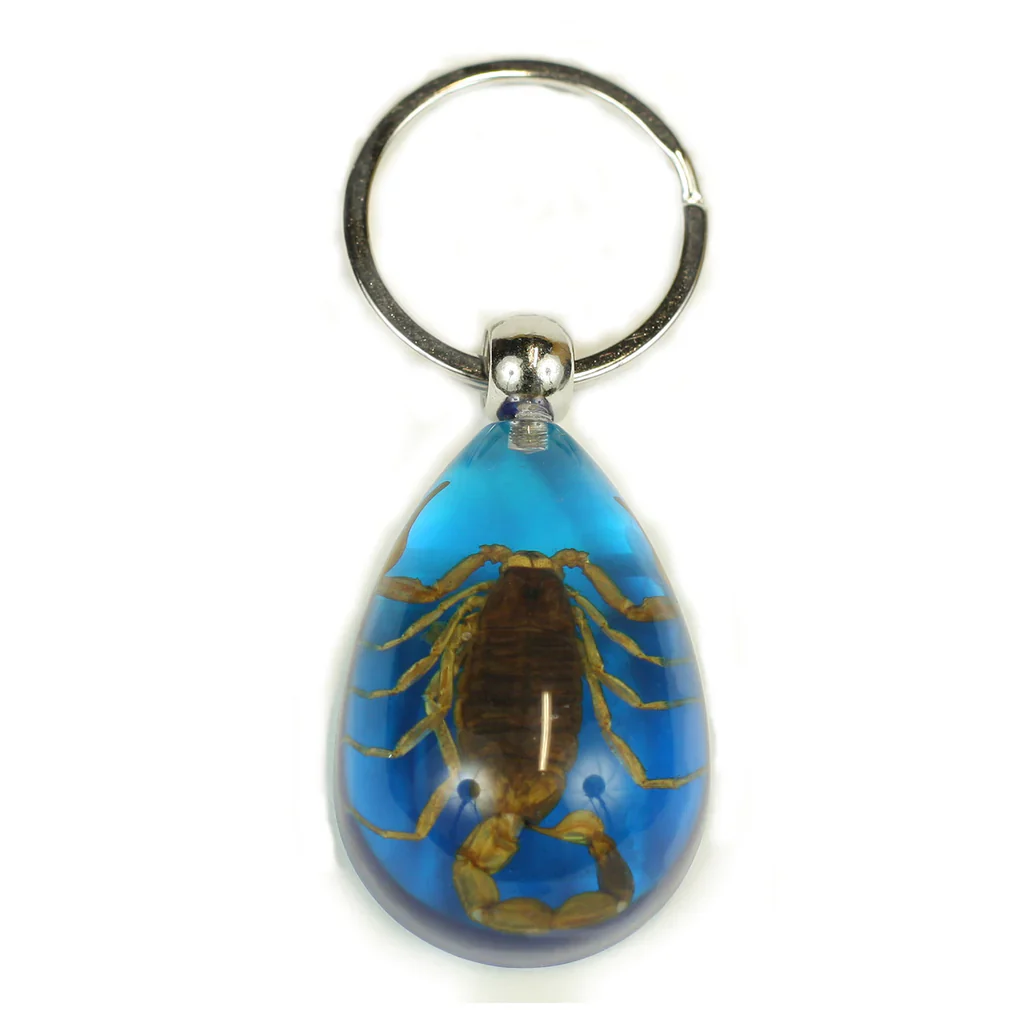 Real Golden Scorpion in Acrylic Keychain - Image 4