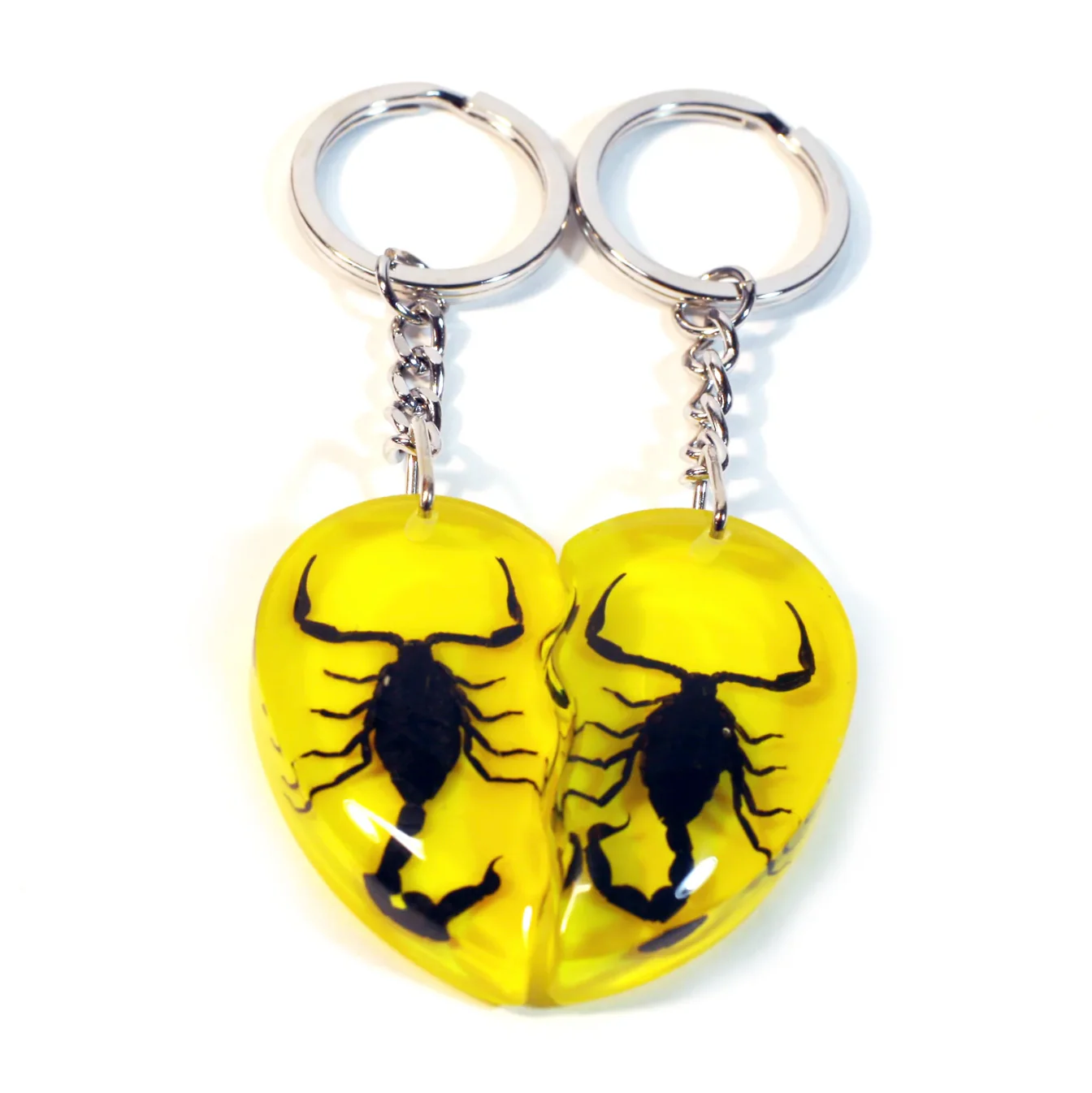 Real Scorpion Friendship Keychain in Acrylic - Single - Image 10