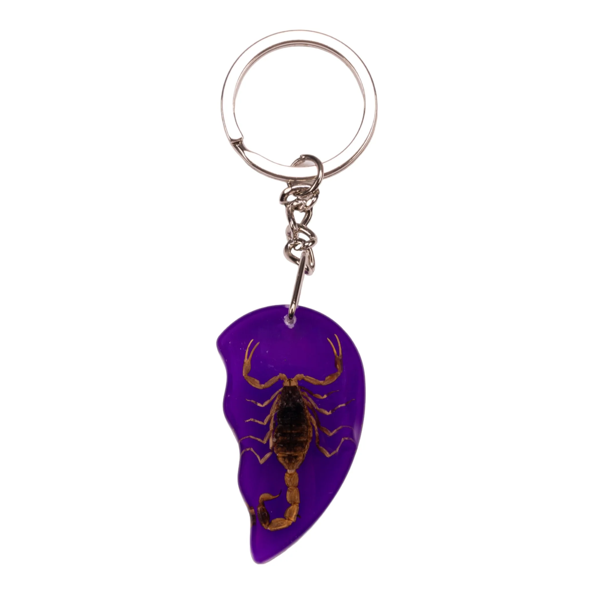 Real Scorpion Friendship Keychain in Acrylic - Single - Image 11
