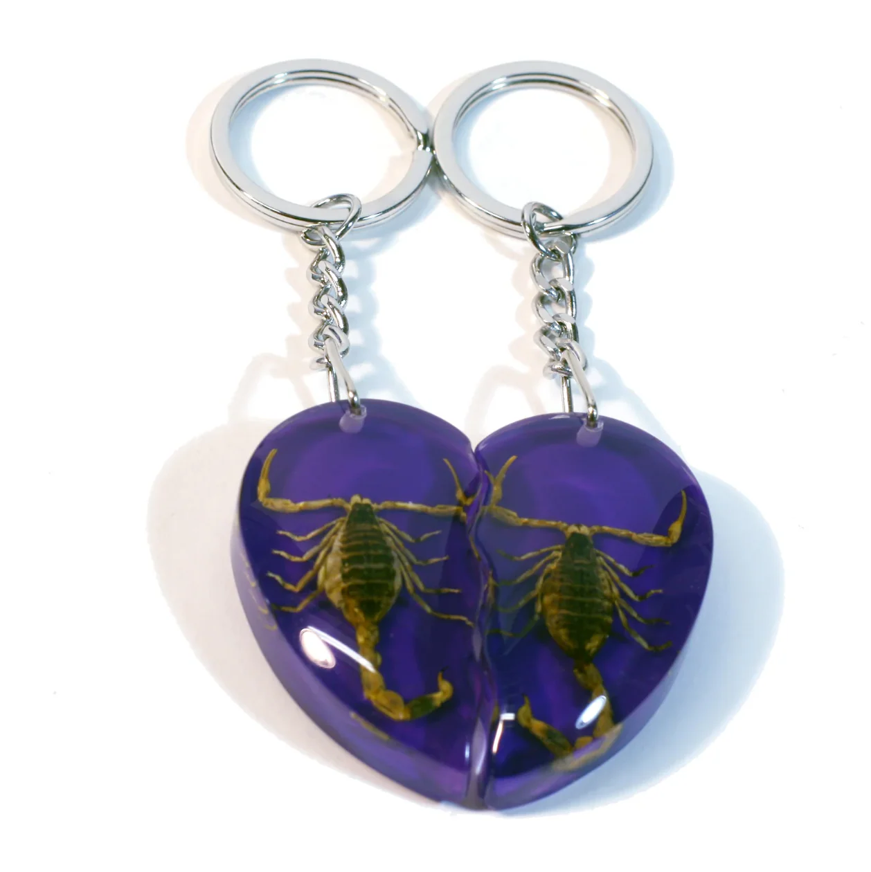 Real Scorpion Friendship Keychain in Acrylic - Single - Image 13