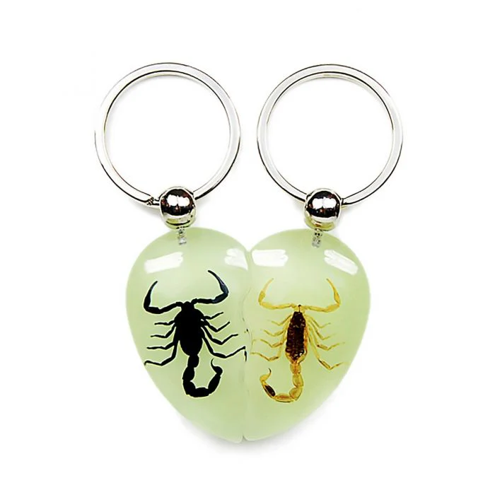Real Scorpion Friendship Keychain in Acrylic - Single - Image 14