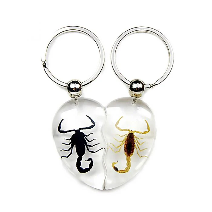 Real Scorpion Friendship Keychain in Acrylic - Single - Image 15