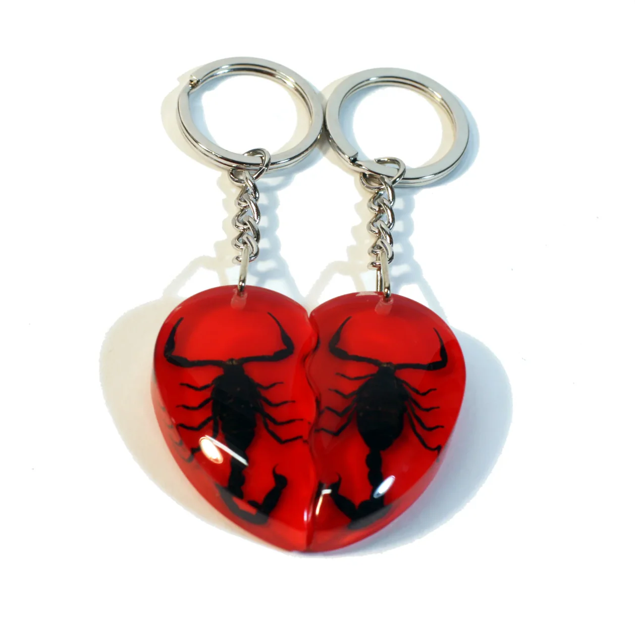 Real Scorpion Friendship Keychain in Acrylic - Single - Image 3