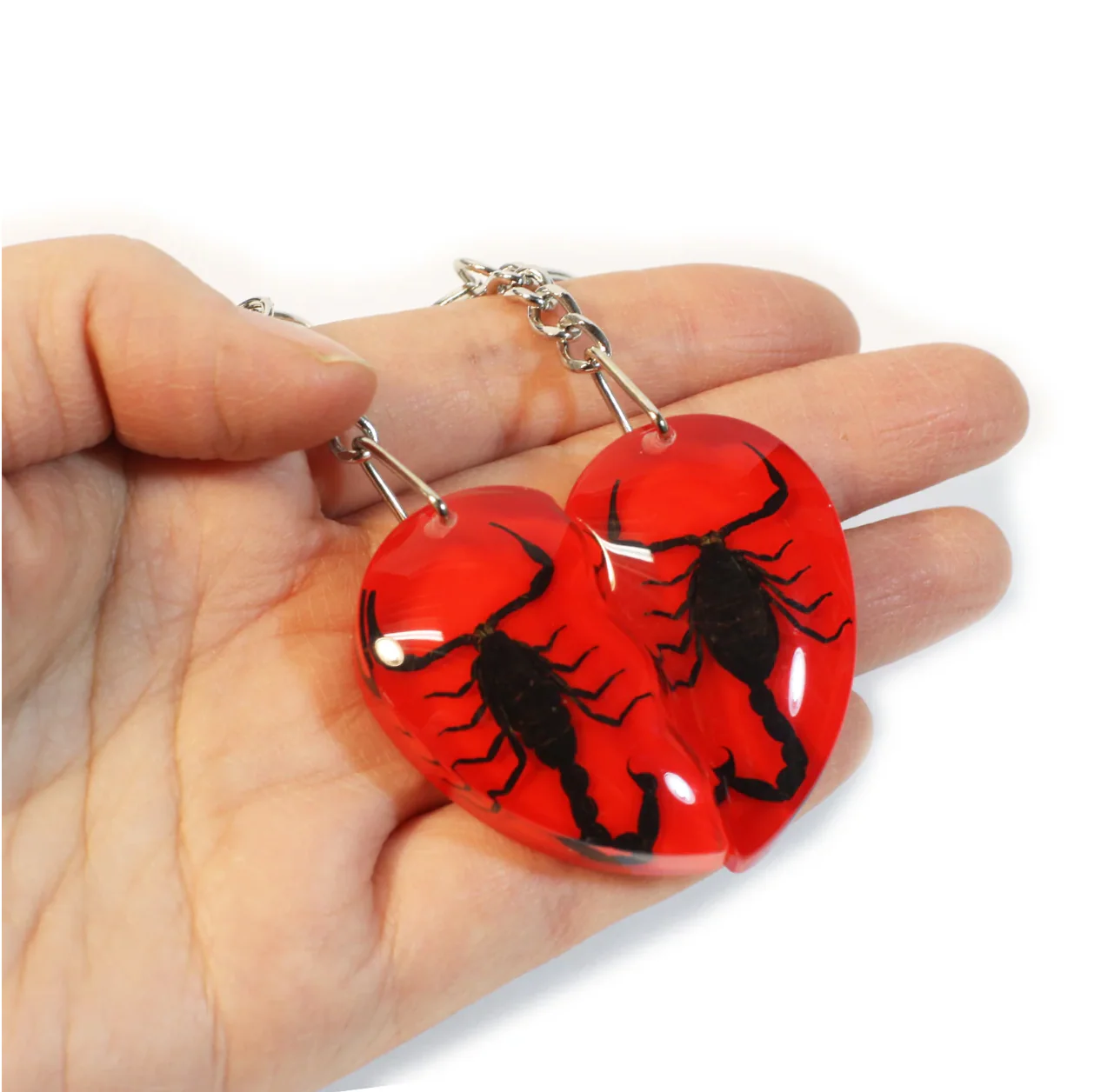 Real Scorpion Friendship Keychain in Acrylic - Single - Image 4
