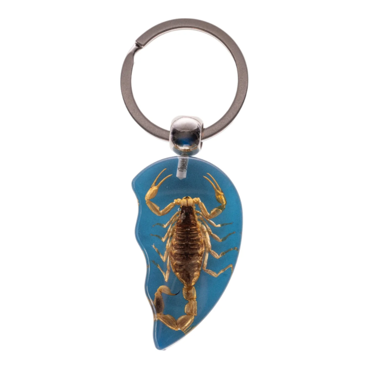 Real Scorpion Friendship Keychain in Acrylic - Single - Image 5